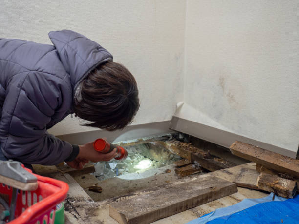 Best Asbestos and Lead Testing During Mold Inspection  in Inkster, MI