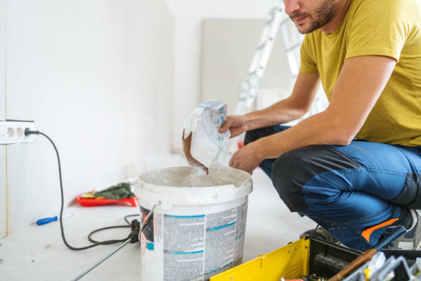 Best Attic Mold Removal  in Inkster, MI
