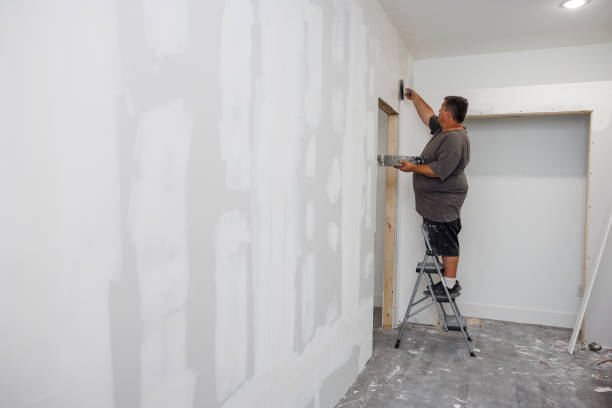 Best Mold Removal for HVAC Installations  in Inkster, MI