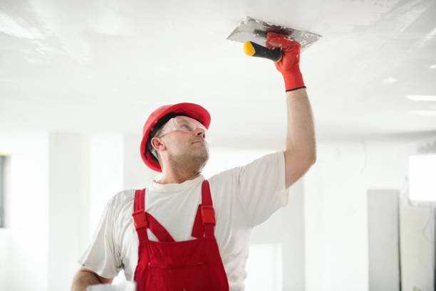 Best Basement Mold Removal  in Inkster, MI