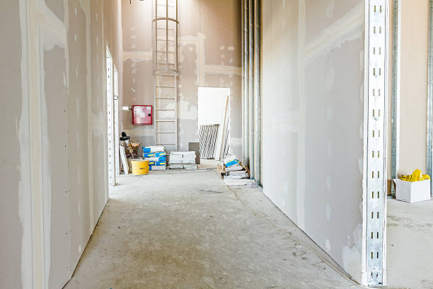 Best Mold Odor Removal Services  in Inkster, MI