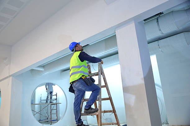 Reliable Inkster, MI Mold Removal Solutions