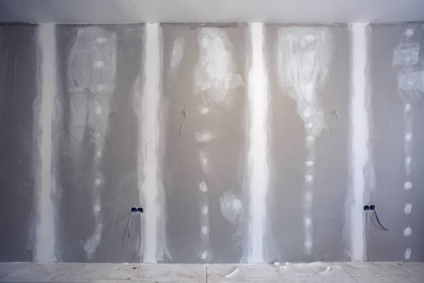 Best Environmental Consulting for Mold Prevention  in Inkster, MI
